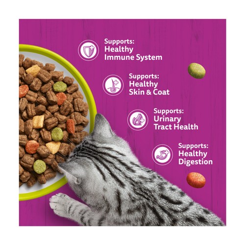 Whiskas 1+ Adult Dry Cat Food with Lamb