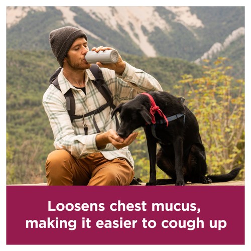 Benylin Mucus All in One Relief Tablets