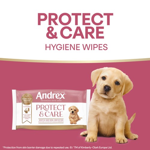 Andrex Protect & Care Hygiene Wipes