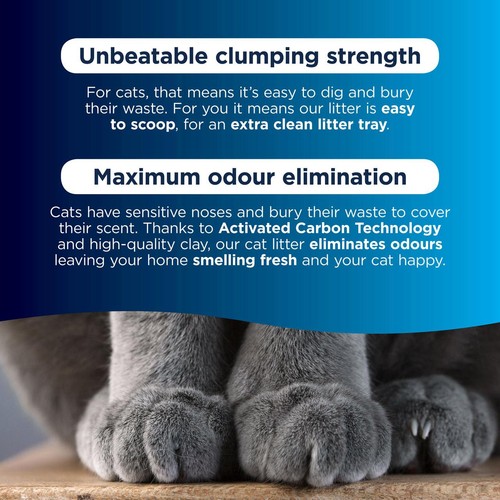 Ever Clean Extra Strong Unscented Clumping Cat Litter