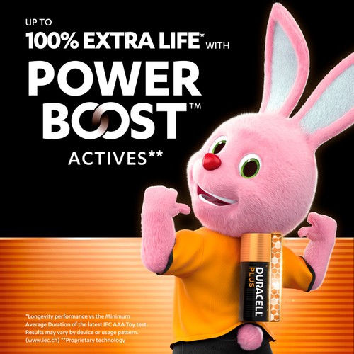 Duracell Plus AAA Batteries