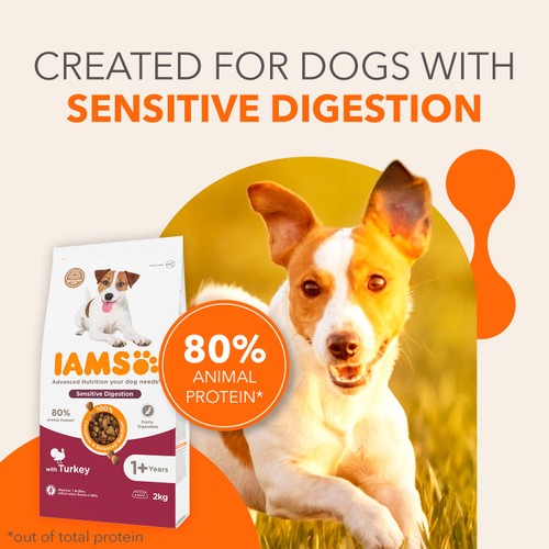 IAMS Sensitive Digestion Dry Dog Food Turkey