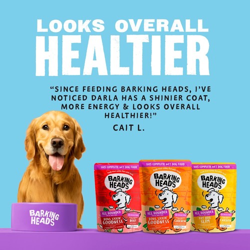 Barking Heads Adult Dog Food Wet Pouches Variety Pack