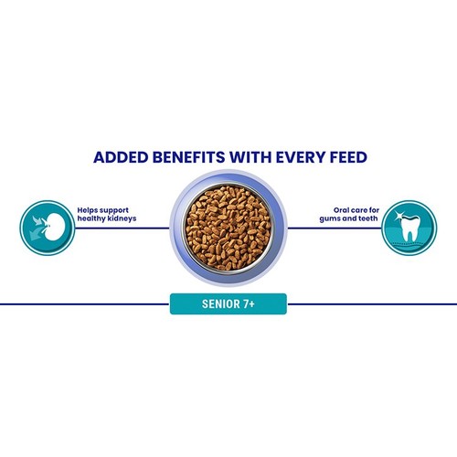 Purina One Senior 7+ Salmon Dry Cat Food