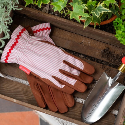 Burgon & Ball Colour Collection Gloves Blush Stripe