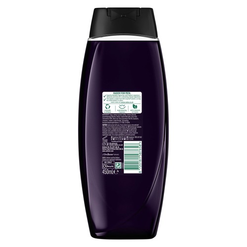 Radox Men Feel Recovered Shower Gel