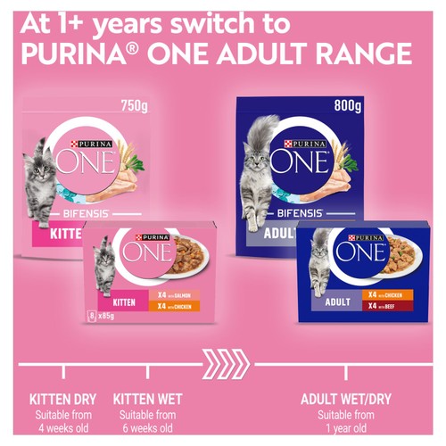 PURINA ONE Kitten Mini Fillets Salmon and Chicken Wet Cat Food