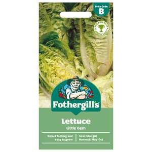 Mr Fothergill's Lettuce Little Gem