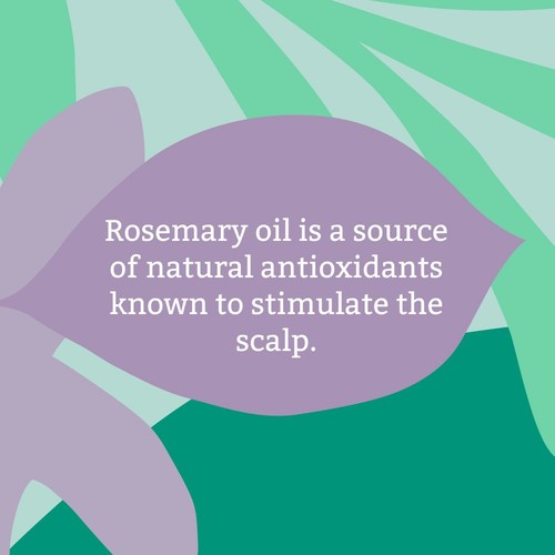 Faith In Nature Shampoo Rosemary