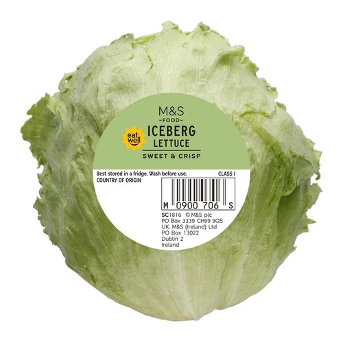 M&S Iceberg Lettuce