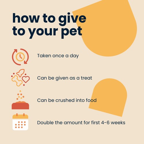 Seraquin Joint Supplement Chewable Tablets For Cats & Small Dogs