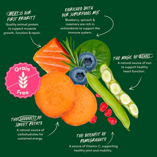 Harringtons Grain Free Superfoods Salmon Dry Dog Food