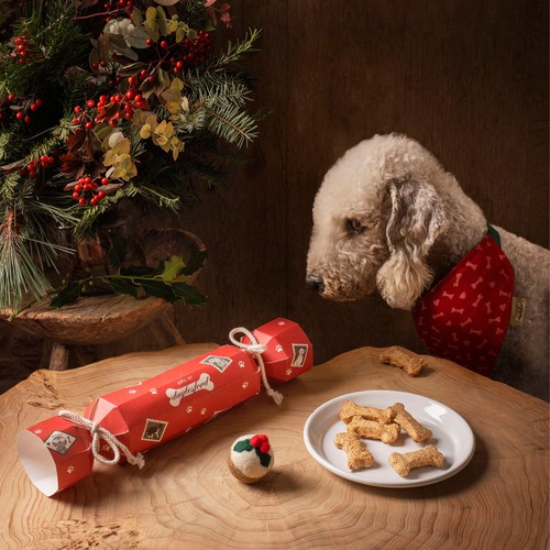 Daylesford Turkey & Cranberry Dog Bones