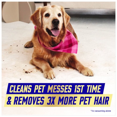 Vanish Gold Upholstery & Carpet Cleaner Foam