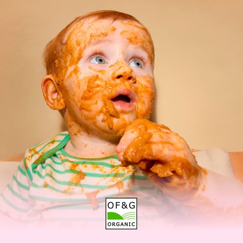 Little Freddie Beef Lasagne with Cheese Baby Food Pouch 7+ Months