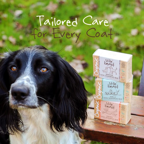 Little Beast Organic Sensitive Dog Shampoo Bar