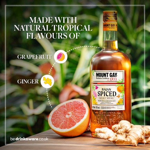 Mount Gay Bajan Spiced Rum based Spirit, 70cl