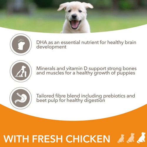 IAMS Advanced Nutrition Puppy Food Large Breed with Fresh Chicken