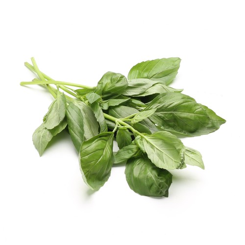 Daylesford Organic Basil