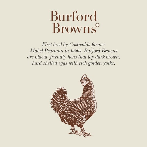 Clarence Court  Burford Brown 6 Medium Free Range Eggs