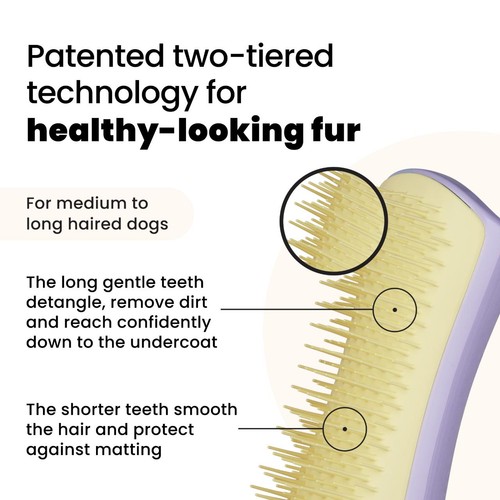 Pet Teezer Detangling Dog Grooming Brush Small - Lilac / Yellow