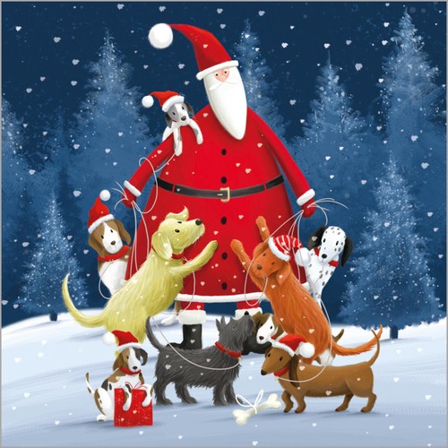 Santa & Animals Bumper Box Christmas Card Pack