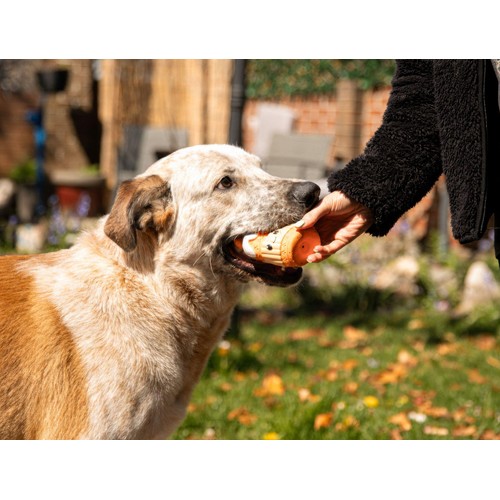 Spirit & Spook Luna Latte Dog Toy