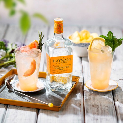 Hayman's Vibrant Citrus Gin
