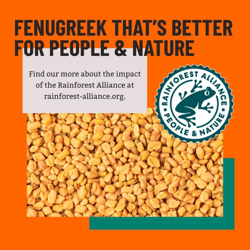Bart Fenugreek Seeds