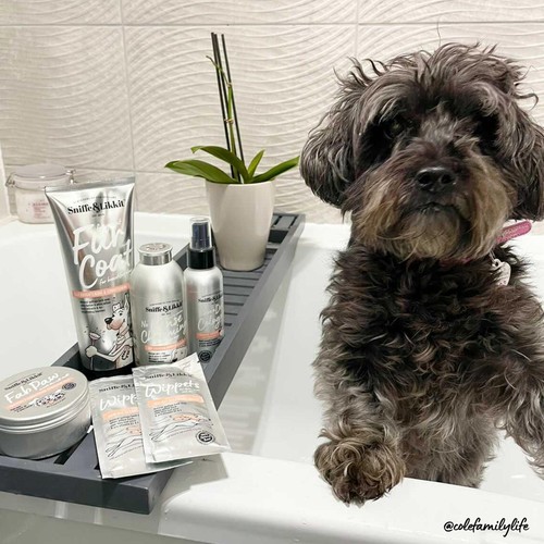 Sniffe & Likkit Fab Paw Soothing & Conditioning Protection Balm for Dogs