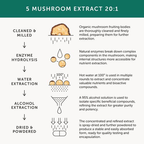Together Health Mushroom 5 Lions Mane, Chaga & Reishi