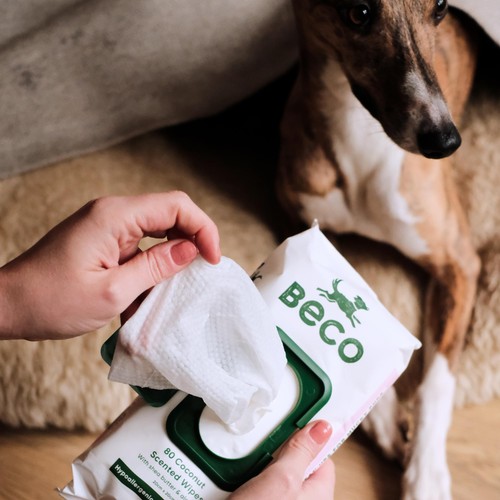 Beco Bamboo Dog Wipes Coconut Scented