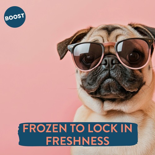 Boost Pet Chicken with Superfoods Meal for Dogs