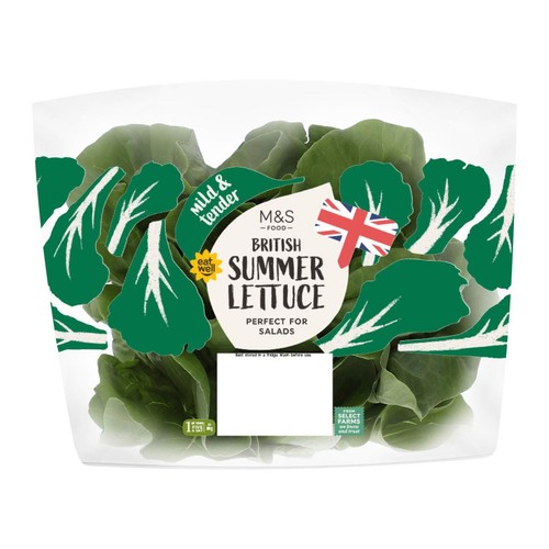 M&S British Summer Lettuce