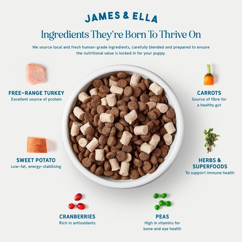 James & Ella Raw+Kibble Puppy Free Range Turkey Dogfood
