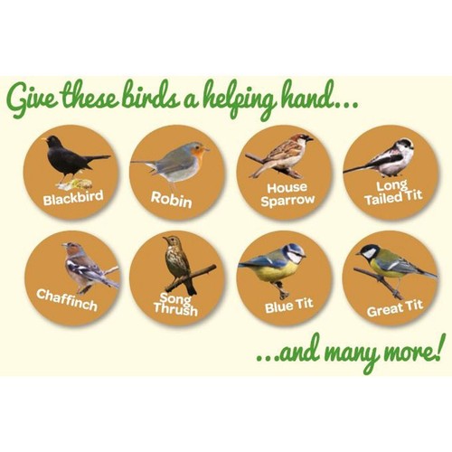 Peckish Natural Balance Seed Mix For Wild Birds