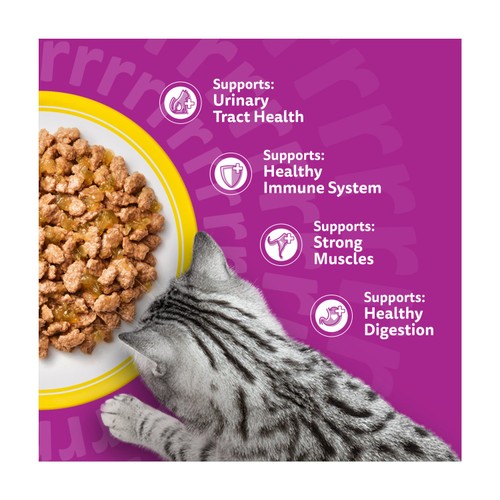 Whiskas 11+ Senior Wet Cat Food Poultry Feasts in Jelly