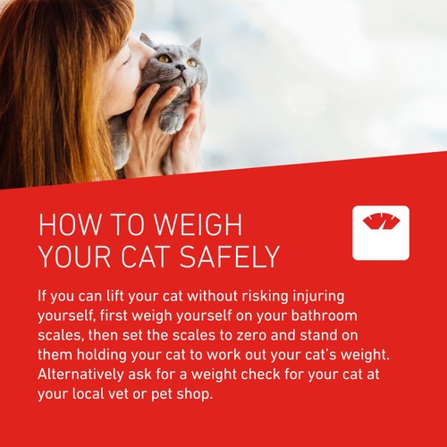 FRONTLINE Wormer Cat film coated tablets
