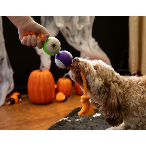 Spirit & Spook Goofy Eyes Rope Dog Toy