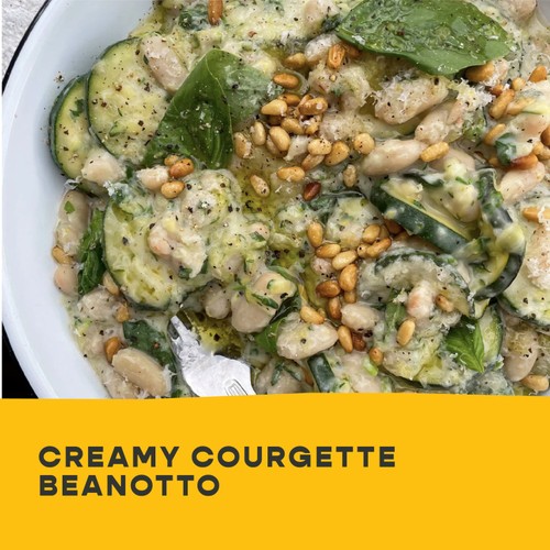Bold Bean Co Queen White Beans