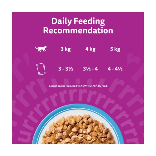 Whiskas 11+ Senior Wet Cat Food Fish Favourites in Jelly