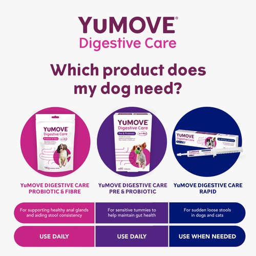 YuMOVE Digestive Support Pre & Probiotic for Dogs