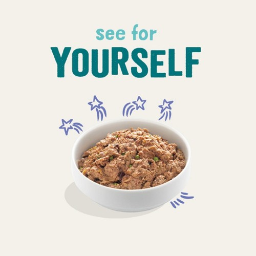 Edgard & Cooper Adult Grain Free Wet Dog Food with Beef & Duck