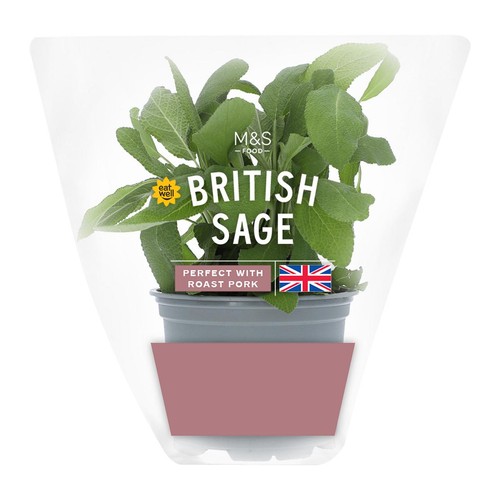 M&S British Sage Pot