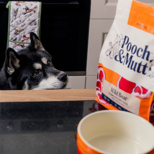 Pooch & Mutt Primal Wild Boar 2kg