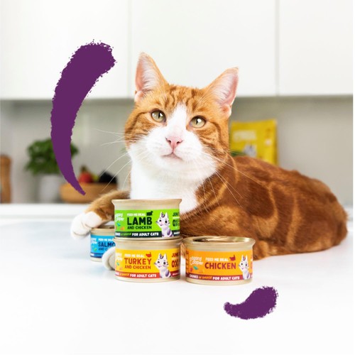 Edgard & Cooper Cat Chunks in Sauce Adult Salmon & Chicken