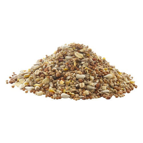 Peckish Complete Ready To Use Bird Seed Feeder