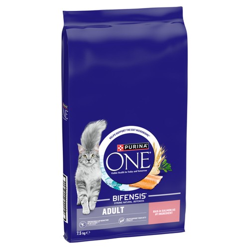 Purina One Salmon Dry Cat Food