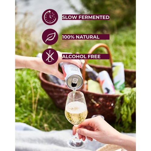 REAL Sec Slow Fermented Sparkling Tea