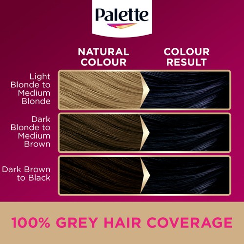 Palette DLX 1-1 Blue Black GB